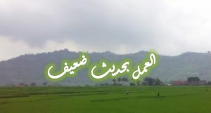 jWYP rXKwMUbOHLyRAPZO6BQt rkbpYx1dWZ1IIJW0rodbnNtzzEq1tahQjNxlxgOAptumQHYTsEy9budB THMQItkWYrjSRmHAQtrZYSRFEA zYIptz rgJbrzOuzO2Y5MIOgg