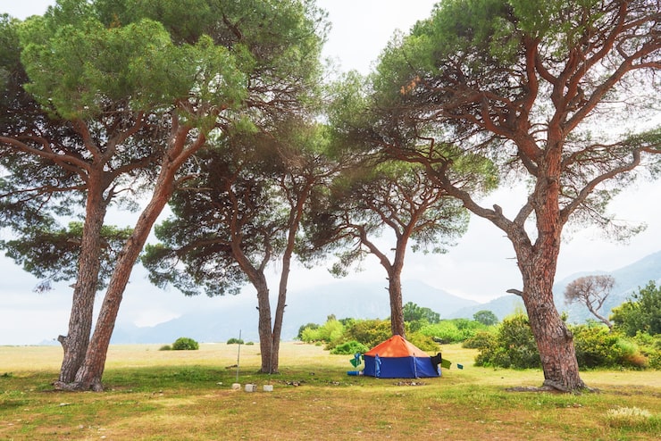 hilltop camp lembang