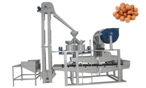 hazelnut cracking machine for sale